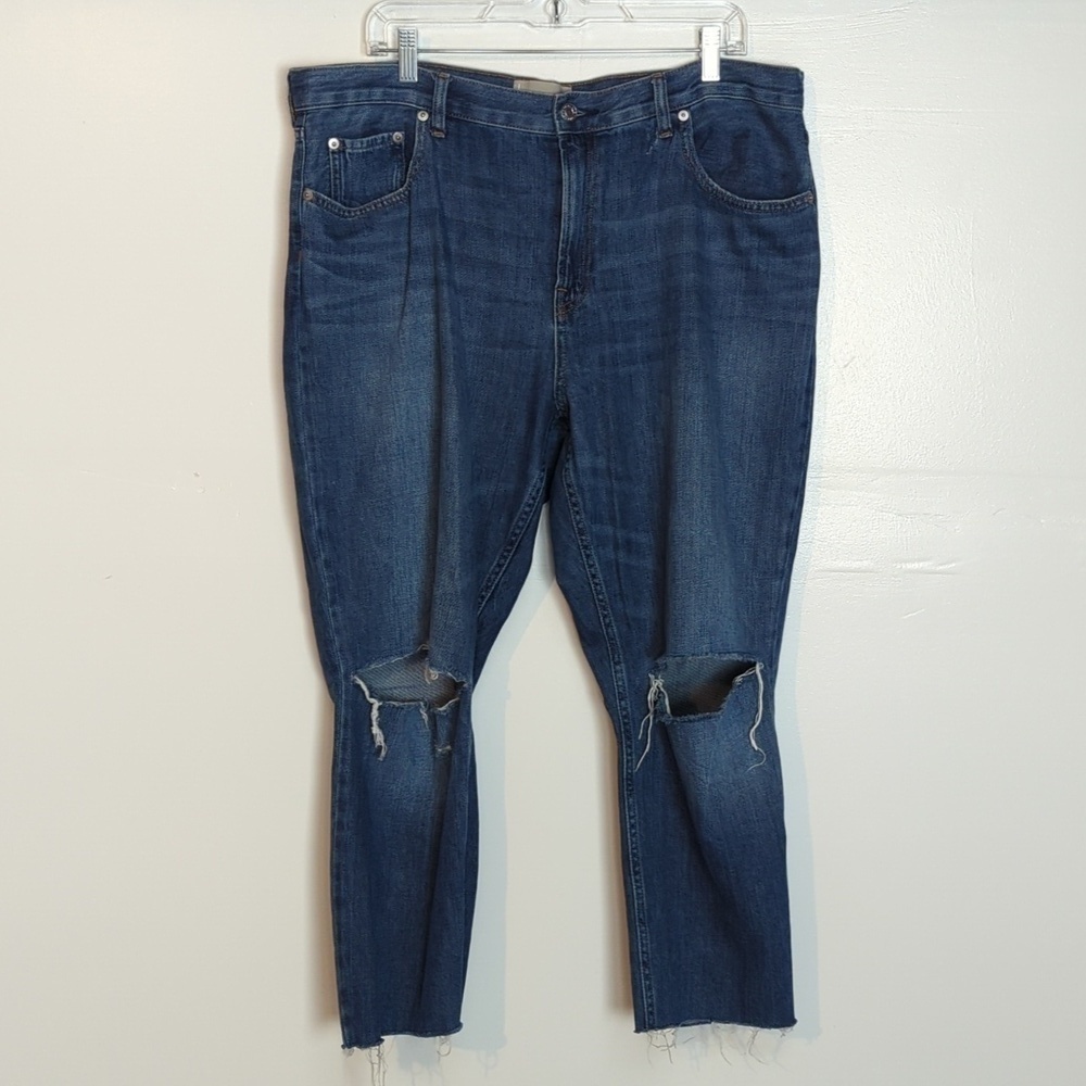 Everlane Distressed The Summer Jeans